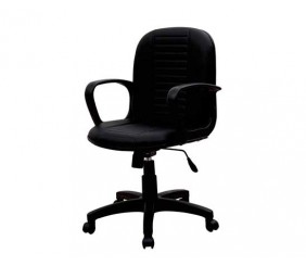 ECL-001R (Low back Chair)