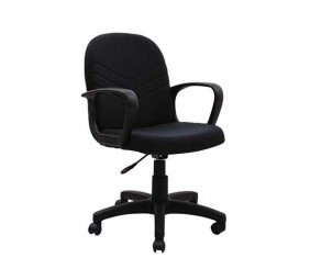 ECL-002 (Low back Chair)